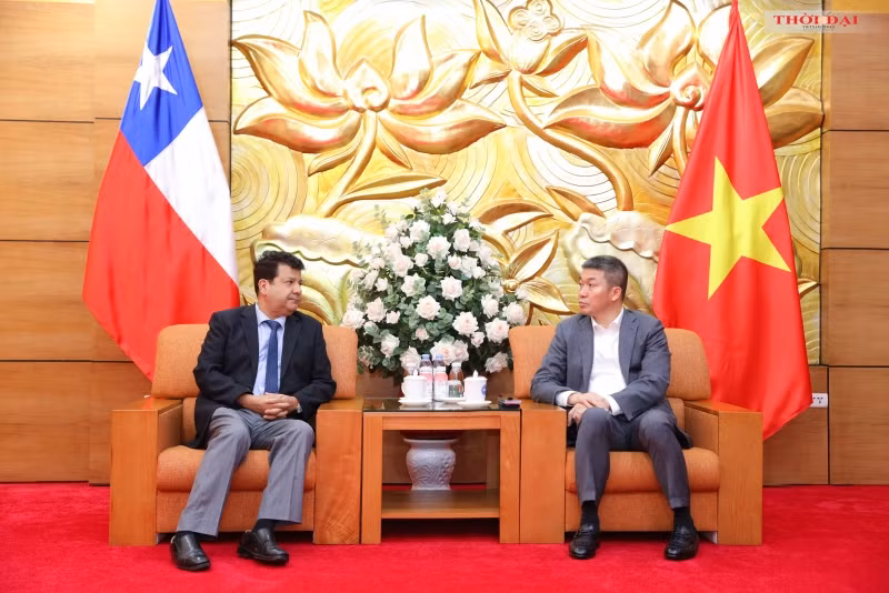 Phan Anh Son (à droite), président de l'Union vietnamienne des organisations d'amitié et Sergio Narea, ambassadeur du Chili au Vietnam. Photo: thoidai