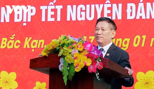 Le vice-Premier ministre Hô Duc Phoc. Photo : VNA.
