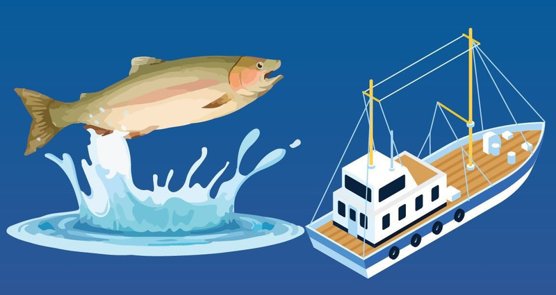 Faire du Vietnam un pays doté d'un développement de la pêche moderne et durable d'ici 2050