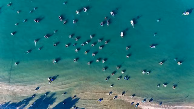 Les visiteurs peuvent également participer à des activités telles que la navigation en thuyền thúng, la pêche avec les habitants ou d'autres expériences maritimes pour mieux comprendre la vie sur le littoral. Photo : Khang Océan