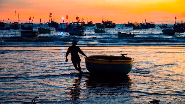 Tôt le matin, lorsque les bateaux rentrent au port après une nuit en mer, le marché de fruits de mer en bord de mer s’anime peu à peu. Photo : Khang Océan