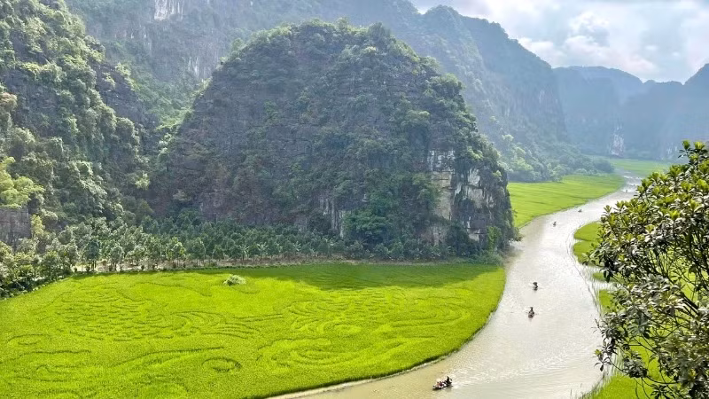 Actuellement, les rizières de Tam Coc, dans la province de Ninh Bình, attirent l’attention de nombreux touristes. Photo: nhandan.vn