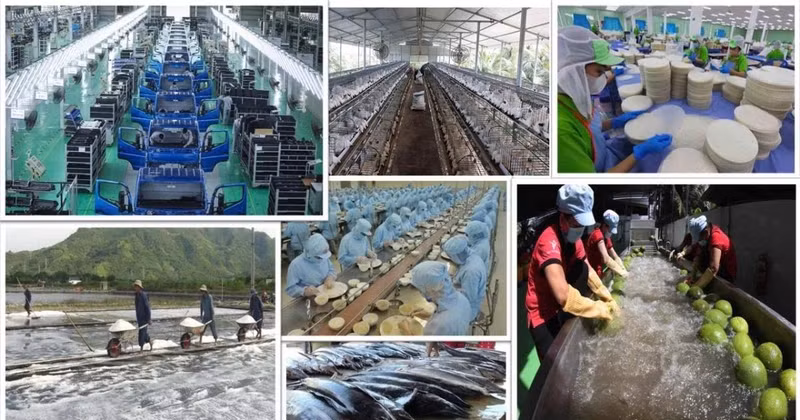 L’économie privée constitue l’un des moteurs les plus importants de l’économie nationale. Photo : VNA.