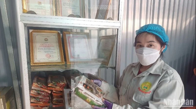 Le miên dong Tan Viet A de Cao Bang exporté aux États-Unis. Photo: NDEL