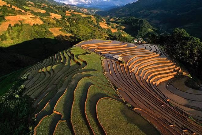 Les rizières en terrasses sont la combinaison parfaite entre la majesté des montagnes et la beauté du travail à travers de nombreuses générations.