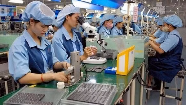 Des travailleurs touchés par le COVID-19 sont soutenus par l'Assurance sociale. Photo : VNA.