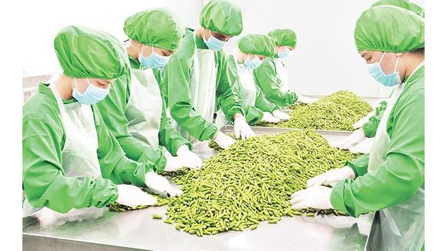 Transformation des épices vietnamiennes chez la compagnie Dh Foods. Photo: NDEL