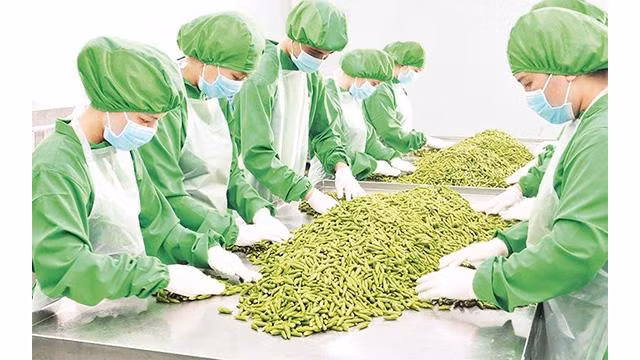 Transformation des épices vietnamiennes chez la compagnie Dh Foods. Photo: NDEL