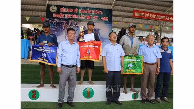 Le premier prix est distribué à une paire de bœufs appartenant à Nguyên Thanh Toan de la commune de Luong Phi. Photo : VNA.