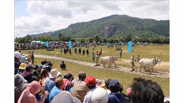 L'événement a attiré des milliers de visiteurs et d’habitants locaux. Photo : VNA.