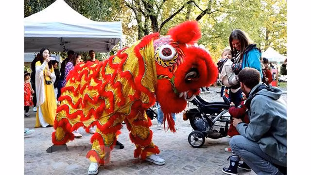 Un spectacle de la danse du lion lors de la fête de la famille vietnamienne en Belgique. Photo : VNA