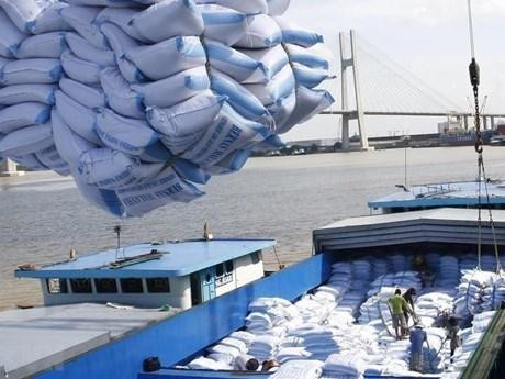 Le Vietnam a exporté 4,97 millions de tonnes de riz pour près de 2,4 milliards de dollars en huit mois. Photo: VNA