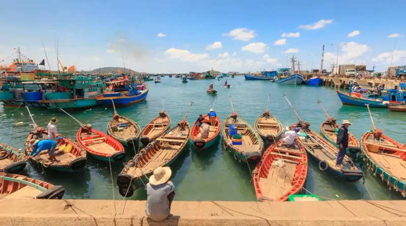 Les gens rament des bateaux-paniers pour transporter du poisson et des crevettes jusqu'au rivage pour les vendre aux touristes. Photo : Phuquoc.intercontinental.