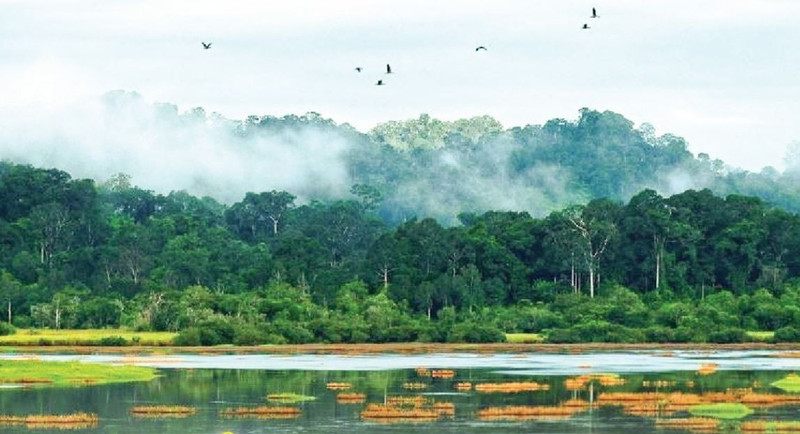 Le parc national de Cat Tien rejoint la Liste verte de l'UICN