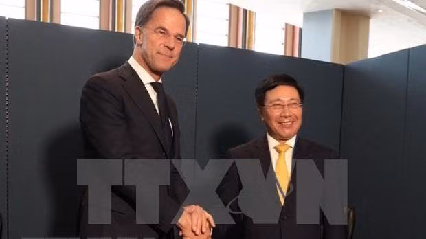 Le vice-Premier ministre permanent vietnamien Pham Binh Minh (droite) rencontre le Premier ministre néerlandais Mark Rutte. Photo : VNA