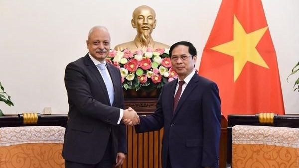 Le ministre des Affaires étrangères Bui Thanh Son (droite) et l’assistant au ministre des Affaires étrangères de l'Égypte Ayman Aly Kamel Aly. Photo : VNA