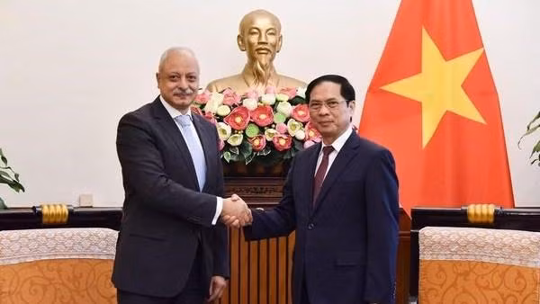 Le ministre des Affaires étrangères Bui Thanh Son (droite) et l’assistant au ministre des Affaires étrangères de l'Égypte Ayman Aly Kamel Aly. Photo : VNA