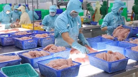 Transformation de produits aquacoles pour l'exportation. Photo : VNA