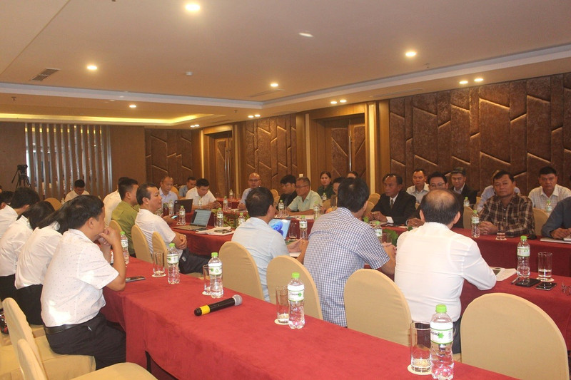 Photo: concuong.nghean.gov.vn