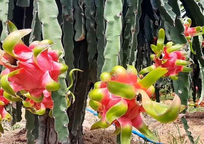 Photo d'illustration: congthuong