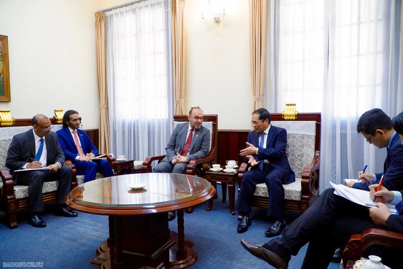 Le ministre vietnamien des Affaires étrangères, Bui Thanh Son, reçoit le nouvel ambassadeur du Qatar au Vietnam, Khalid Ali Abdullah Abel. Photo: baoquocte