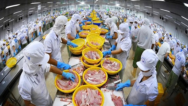 Les produits aquatiques sont l'un des produits d'exportation majeure du Vietnam sur les marchés parties du CPTPP. Photo: VNA