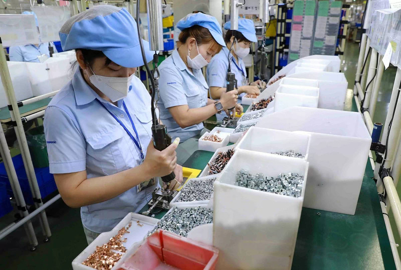 Le Brésil est actuellement le principal partenaire commercial du Vietnam en Amérique latine. Photo : congthuong.vn