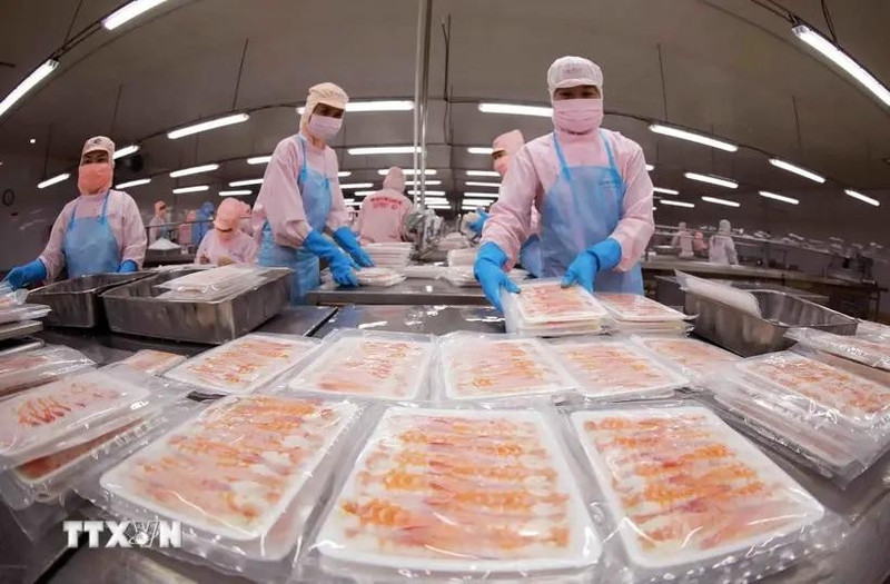 Transformation de crevettes pour l'exportation. Photo: VNA