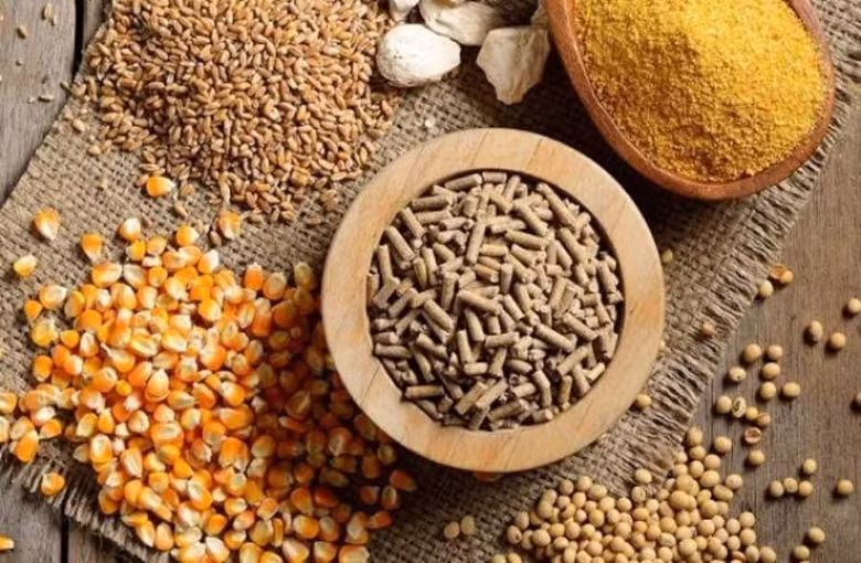  L’année dernière, la filière a importé pour 5,6 milliards de dollars de matières premières, +13,6% en glissement annuel. Photo: thuonggiaonline 