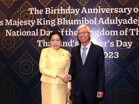 Le vice-président du Comité populaire de Hô Chi Minh-Ville Vo Van Hoan et la consule générale de Thaïlande à Hô Chi Minh-Ville, Wiraka Moodhitaporn. Photo: VNA