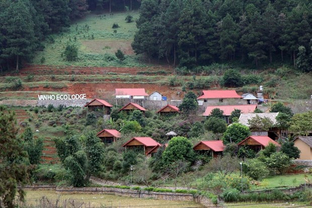 La zone de l'écotourisme Vân Hô, province de Son La (Nord). Photo : VNA.