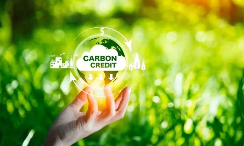 Photo : Insurance Business Mag.