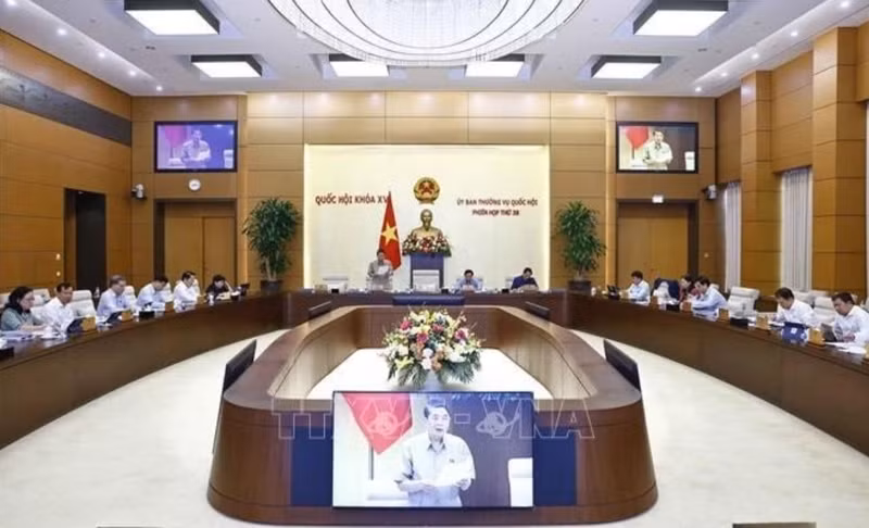 Panorama d'une réunion du Comité permanent de l'AN. Photo : VNA.