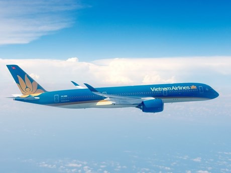 Un avion de . Photo: VNA