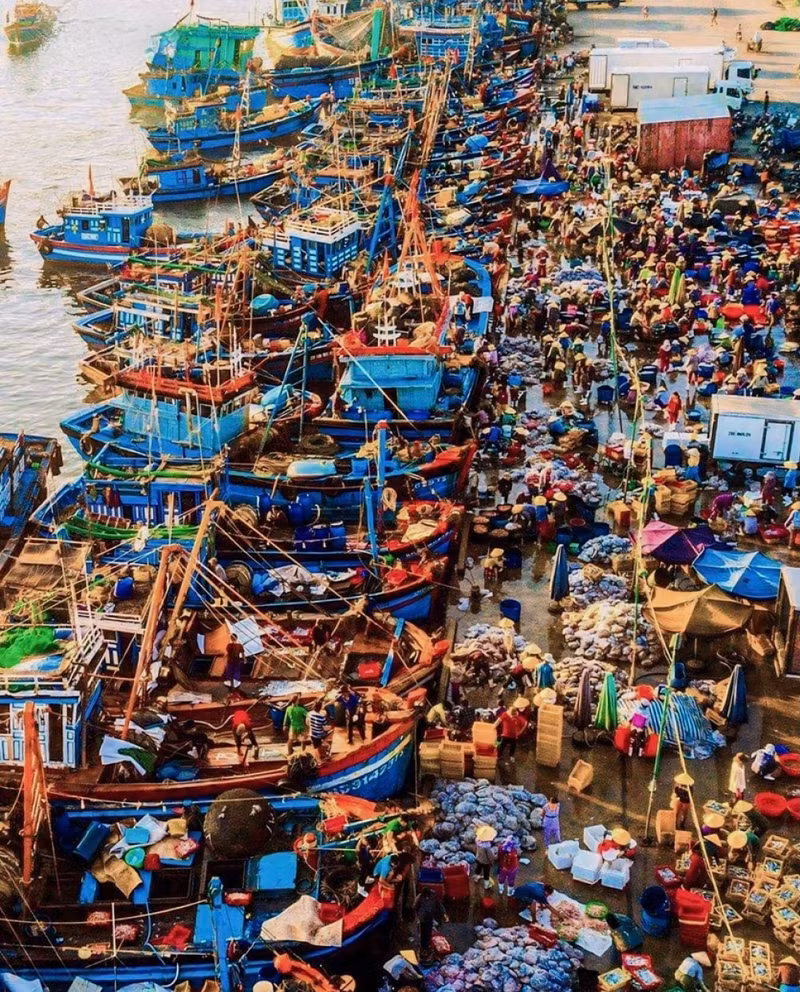 Marché animé aux poissons de Sa Huynh au tôt le matin. Photo : VOV.