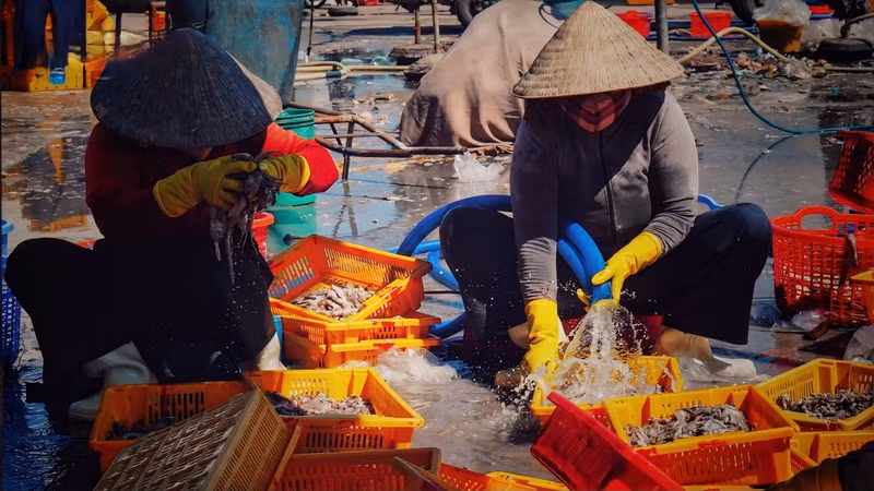 Femmes du village de pêcheurs de Sa Huynh. Photo : VOV.