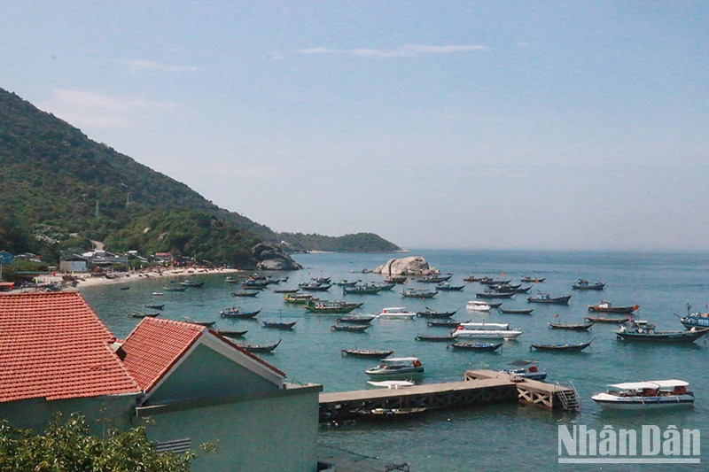 Un espace de la réserve naturelle de Cù Lao Chàm. Photo : nhandan.vn