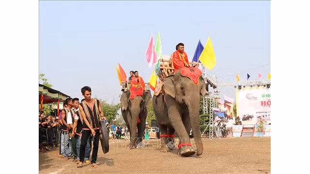 Un défilé des éléphants au Buôn Dôn dans le cadre de la 7e Festival du café du Buôn Ma Thuôt.Photo : VNA. 