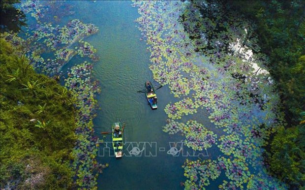 La beauté sauvage de Thung Nang à Ninh Binh. Photo : VNA.