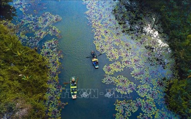 La beauté sauvage de Thung Nang à Ninh Binh. Photo : VNA.