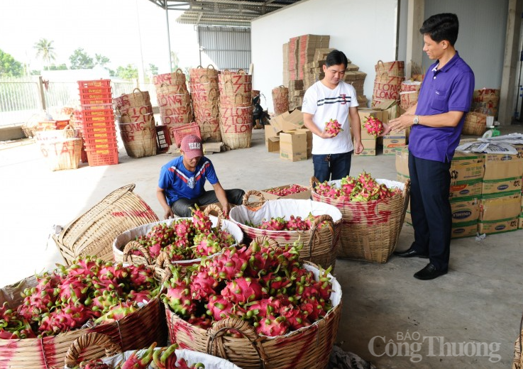 Photo d'illustration: baocongthuong