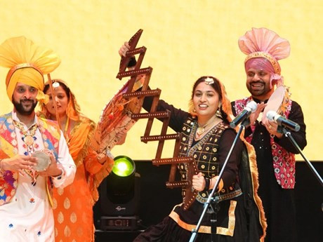 Un numéro de danse lors du programme artistique Vietnam - Inde. Photo : thanhnien.vn