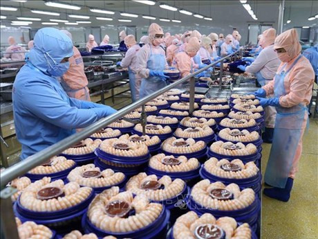 Transformation de crevettes destinées à l'exportation chez Minh Phu Seafood Corp. Photo : VNA.