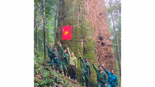 Photo : tienphong.vn