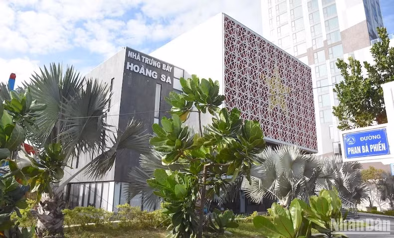 Les amandiers ramenés de l'archipel de Truong Sa verdissent devant la porte de la Maison d'exposition de Hoàng Sa. Photo : NDEL.