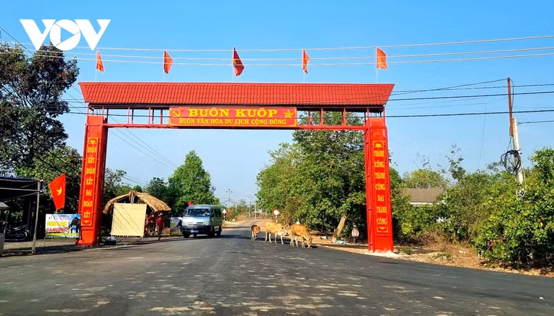 En tant que troisième village du touristique communautaire de Dak Lak, Kuop préserve encore environ 50 maisons traditionnelles et de nombreuses valeurs culturelles des ethnies Ede et Mo Nong. Photo: VOV En tant que troisième village du touristique communautaire de Dak Lak, Kuop préserve encore environ 50 maisons traditionnelles et de nombreuses valeurs culturelles des ethnies Ede et Mo Nong. Photo: VOV