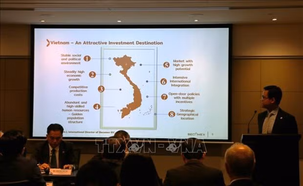 Lors du séminaire. Photo : VNA