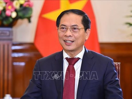 Le ministre des Affaires étrangères Bùi Thanh Son. Photo : VNA.