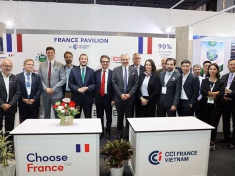 Adam Koulaksezian, directeur exécutif de la Chambre de commerce et d'industrie franco-vietnamienne (CCIFV) (3e, à gauche). Photo: VnEconomy