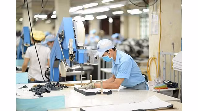 Le succès du Vietnam de son adhésion précoce à l'accord CPTPP, aide le Vietnam à accéder à de nombreux marchés dans le monde. Photo: baodauthau.vn